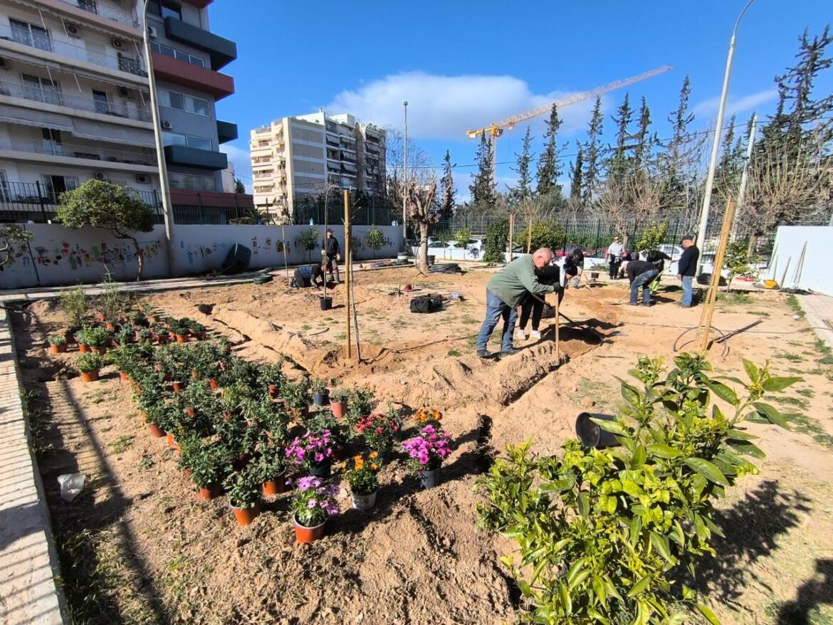 Οι σχολικές αυλές της Αθήνας γίνονται πιο πράσινες και πιο δροσερές
