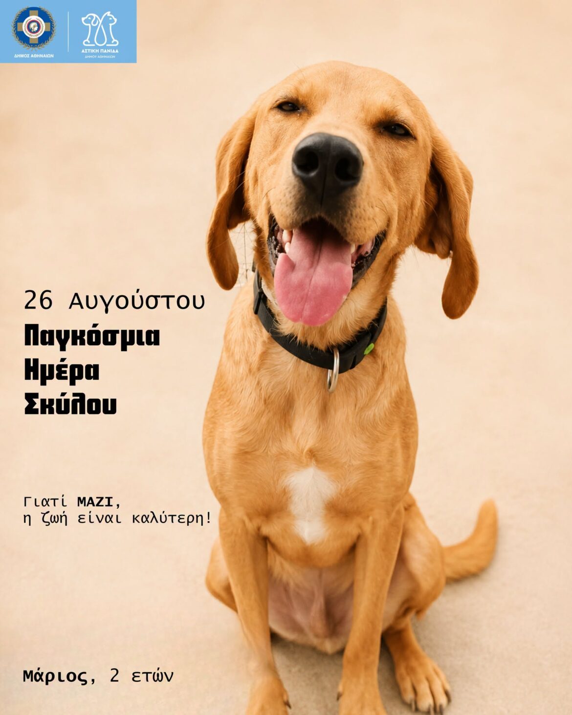 26 Αυγούστου | Παγκόσμια Ημέρα Σκύλου